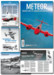 Aeroplane ICONS Meteor