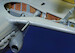 Detailset Focke Wulf FW190D-9 Exterior (Hasegawa/Revell)