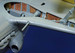 Detailset Focke Wulf FW190D-9 Exterior (Hasegawa/Revell)