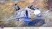 F4N Phantom II "Jolly Rogers VF84" (REISSUE)