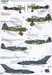 RFC/RAF One Hundred Years of Shiny Two sq.F2B to Tornado GR4