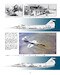 Project 083, 70 years of Starfighter (Expected September 2026 - Can now be preordered )  9791296584020