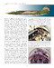 Project 083, 70 years of Starfighter (Expected September 2026)  9791296584020