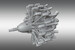 Gnome- Rhone 14K Mistral Major engine  PSR48030