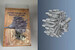 Gnome-Rhone 14K Mistral Major Engine PSR72028