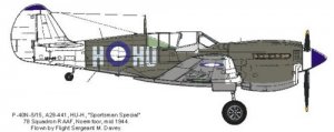 P40N Kittyhawk (RAAF 78sq "Noemfoer")  RRD4809