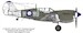 P40N Kittyhawk (RAAF 78sq "Noemfoer") RRD4809