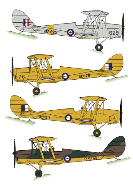 Tiger Moth (RAAF) RRD4828