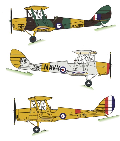 Tiger Moth (RAAF and Navy ) WW2 and post war  RRD4829
