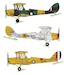 Tiger Moth (RAAF and Navy ) WW2 and post war RRD4829