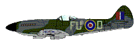 Spitfire MKXIVe (TZ141 FU-D 453sq RAAF)  RRD7223