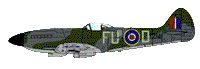 Spitfire MKXIVe (TZ141 FU-D 453sq RAAF) RRD7223