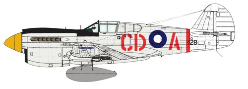 Boring Old Silver - P40E Kittyhawk (2 OTU RAAF)  RRD7233
