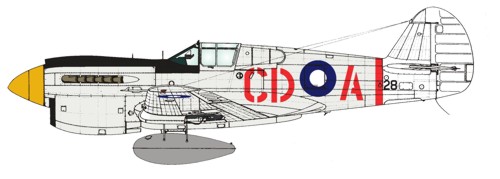 Boring Old Silver - P40E Kittyhawk (2 OTU RAAF) RRD7233