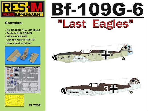 Messerschmitt Bf109G-6 "Last Eagles"  RESIMRI7202