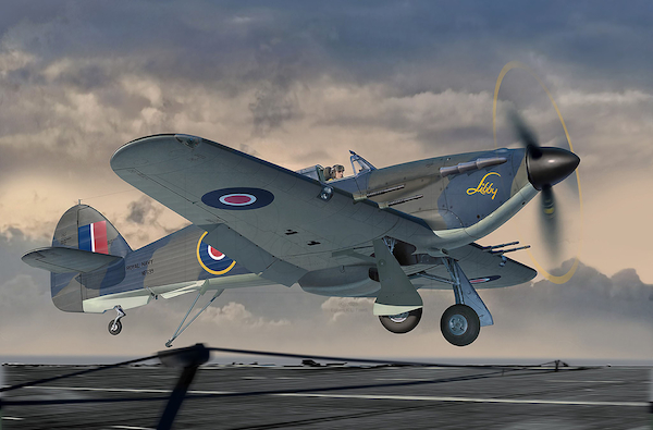 Hawker Sea Hurricane MKIIc 03768