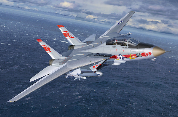 Grumman F14A Tomcat (VF1 Wolfpack) 03782