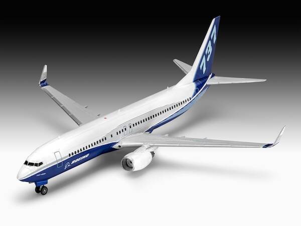 Boeing B737-800 03809