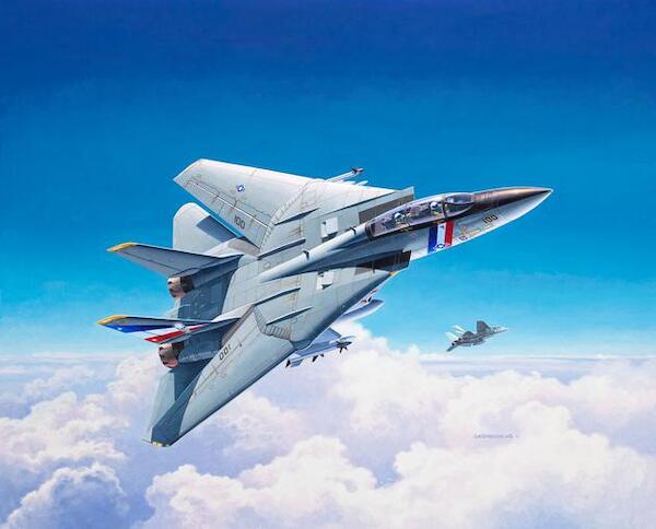 F14D Super Tomcat 03950