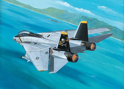 F14A Tomcat  04021