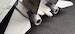 General Electric F110 Nozzles (closed) for F14B/D Tomcat (Revell)  RM027