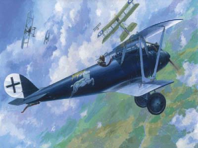 Pfalz DIIIa 015