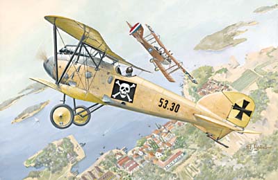 Albatros DIII (Oefag s.53.2)  022