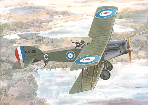 Bristol F2B Fighter 043