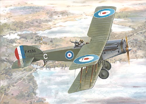 Bristol F2B Fighter  043