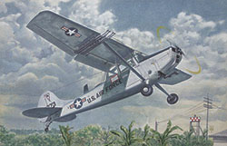 Cessna L19/O-1 Bird Dog "Asian Service" 409