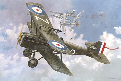 RAF Se5a 416