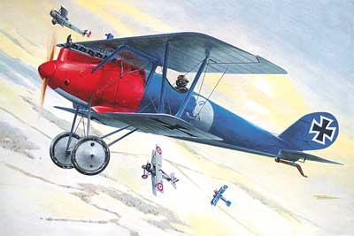 Pfalz DIII  613