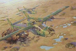 Reims Cessna FTB337G Lynx "Bush War" 628