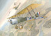 Sopwith 11/2 Strutter ROD635