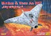 Blohm und Voss Ae607 Nightfighter RS92237