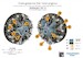 F4F-4 Wildcat engine set (Eduard) SBS48100