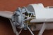 Brewster F2A Buffalo wheel bay set (Hasegawa/Hobby2000) SBS72097