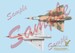 South African Air Force in Profile Artwork: Mirage III n SAAF Service Vol 1: Mirage IIICZ and Mirage IIIBZ1946-1960  9781049273...