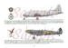 South African Air Force in Profile Artwork Volume 4 1946-1960  9781049273792