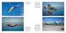 F-15 Eagle : McDonnell Douglas Strike Fighter  9780764367076