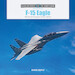 F-15 Eagle : McDonnell Douglas Strike Fighter 