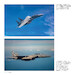 F-15 Eagle : McDonnell Douglas Strike Fighter 9780764367076