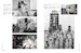 Apollo 1 in Photographs  9780764370090