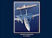 Pacific Tomcat: A Pictorial History of the F-14 in the Pacific Fleet  9796065799705