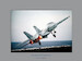 Atlantic Tomcat: A Pictorial History of the F-14 in the Atlantic Fleet 9796065799712