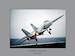 Atlantic Tomcat: A Pictorial History of the F-14 in the Atlantic Fleet  9796065799712