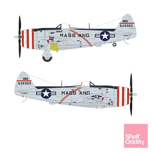 F47D Thunderbolt (USAF and US ANG) SO314438