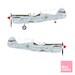 Brazilian Silver P40M/N Warhawk SO314448