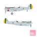 Brazilian Silver P40M/N Warhawk SO314448