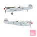 Brazilian Silver P40M/N Warhawk  SO314448